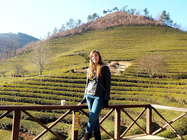 Posing for photos by the hill of green tea plants at Boseong Green Tea Plantation, South Korea