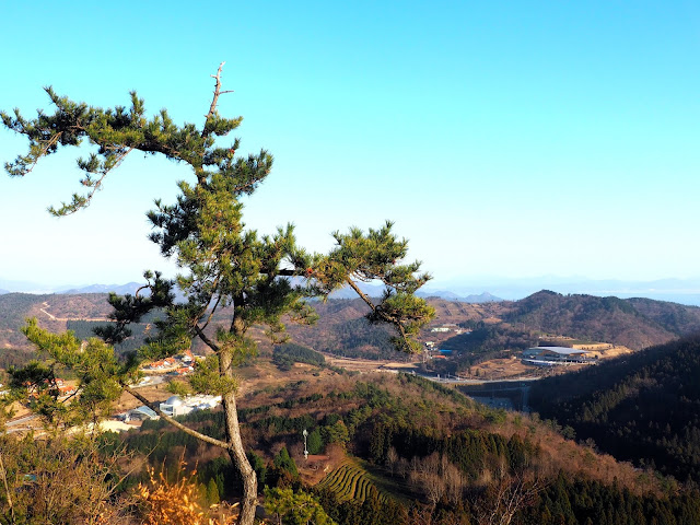 View of the countryside from the observation point at the top of Boseong Green Tea Plantation, South Korea