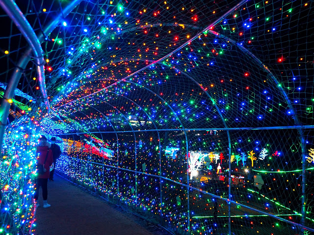 Inside the tunnel of lights at the Light Festival at Boseong Green Tea Plantation, South Korea