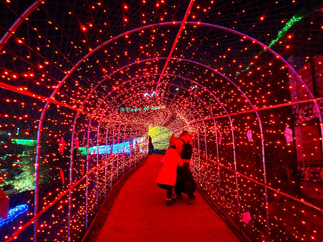 Festive red lights in the tunnel at the Light Festival at Boseong Green Tea Plantation, South Korea