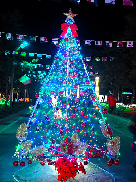 Christmas tree display at the Light Festival at the Yulpo Beach area of Boseong Green Tea Plantation, South Korea