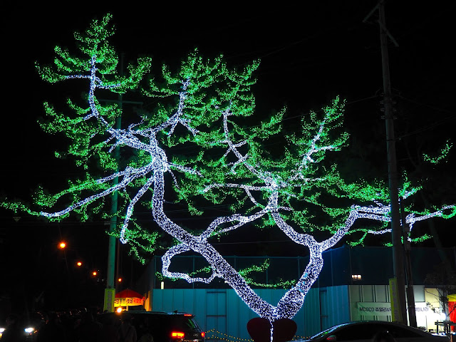 Tree adorned with lights at the Light Festival at the Yulpo Beach area of Boseong Green Tea Plantation, South Korea
