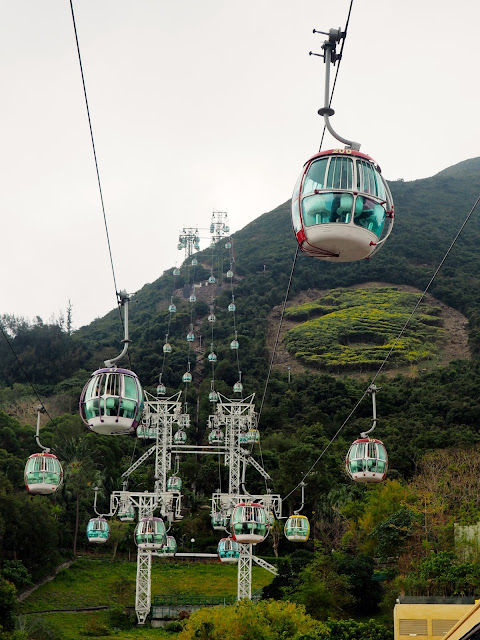 Cable cars in Ocean Park, Hong Kong