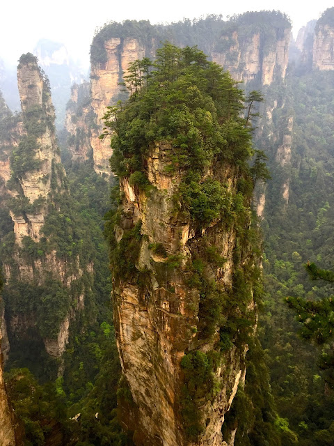 Avatar Hallelujah Mountain in Yuanjiajie area of Zhangjiajie National Park, China