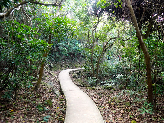 Forest hiking trail to Pak Tam Au from Tai Long Wan, Hong Kong