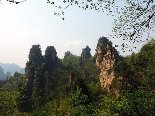 Hike to Tianzi Mountain area of Zhangjiajie National Park, China