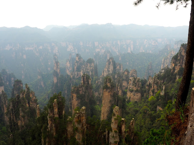 Avatar Mountains in Zhangjiajie National Park, China