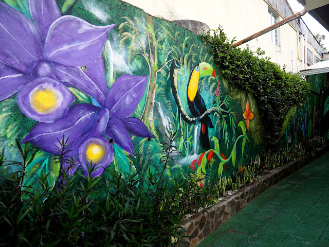 Jungle street art in Monteverde, Costa Rica