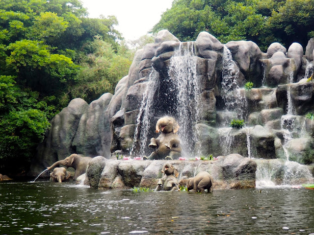Elephants on the Jungle Cruise, Tokyo Disneyland, Japan