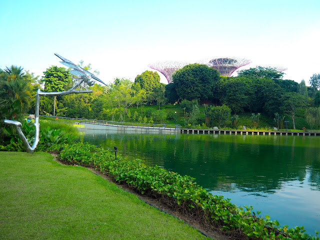 Dragonfly pond, Gardens by the Bay, Singapore