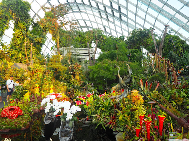 The Lost World, Cloud Forest, Gardens by the Bay, Singapore