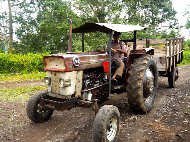 Tractor at Glenmore plantation, Kalibaru, East Java, Indonesia