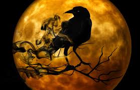 Stock photo - black crow on orange Halloween full moon