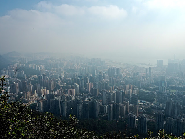 View from Lion Rock, Kowloon, Hong Kong
