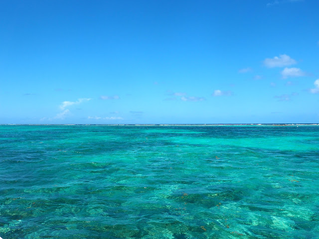 Turquoise lagoon water around Caye Caulker, Belize
