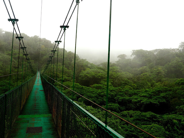 Hanging bridge in the cloud forest, Monteverde, Costa Rica