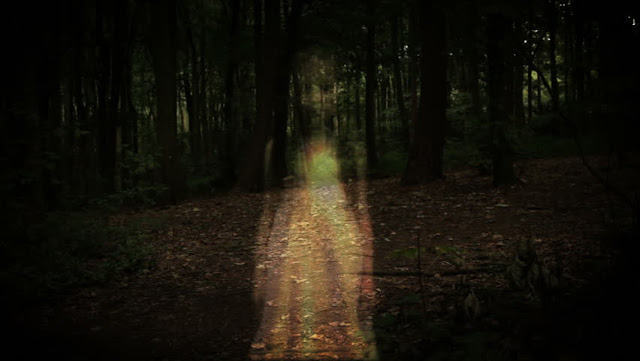 Ghost of little girl dressed in white in the woods