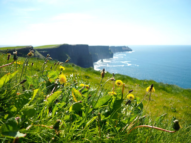 Cliffs of Moher, Wild Atlantic Way, Ireland