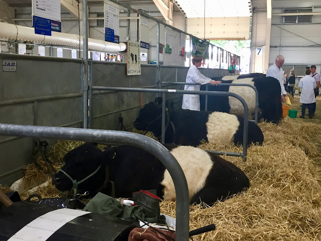 Cattle hall at the Royal Highland Show, Edinburgh, Scotland