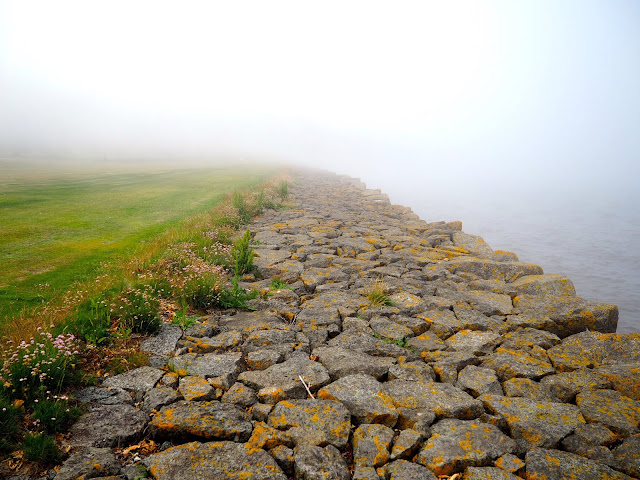 Haar coastal fog by the coast in Dalmeny Estate Shore Walk in north Edinburgh