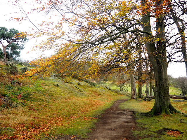 Autumn scenery while hiking on Corstorphine Hill, Edinburgh, Scotland
