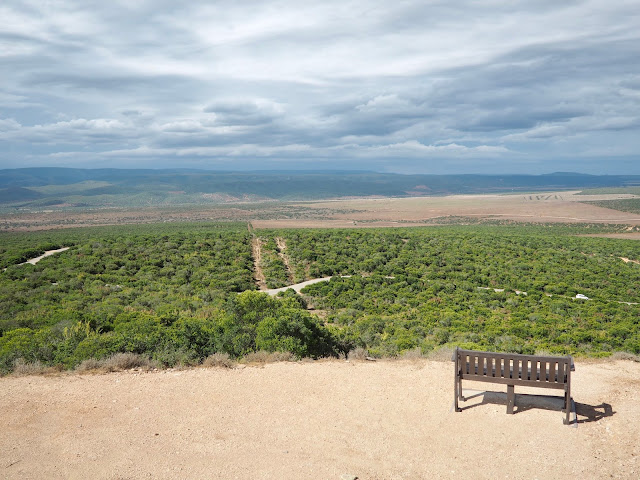 Landscape viewpoint in Addo Elephant National Park, South Africa