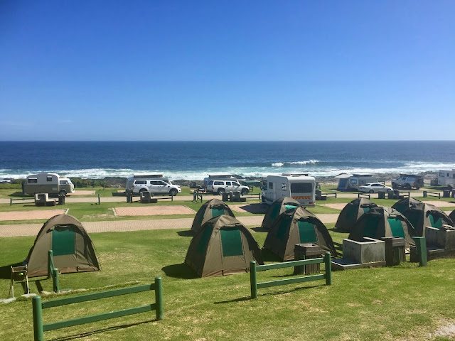 Campsite in Tsitsikamma National Park, Garden Route, South Africa