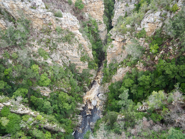 River gorge view near Tsitsikamma National Park, Garden Route, South Africa