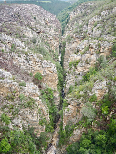 River gorge view near Tsitsikamma National Park, Garden Route, South Africa