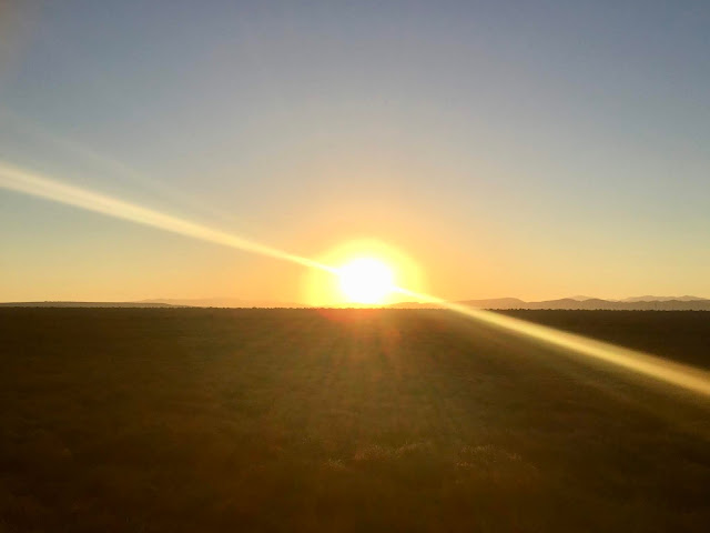 Sunrise, Meerkat Experience, Oudtshoorn, South Africa