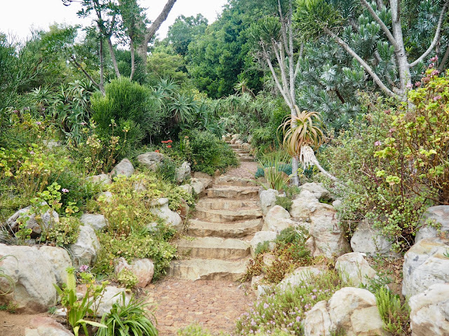 Kirstenbosch Botanic Gardens, Cape Town, South Africa