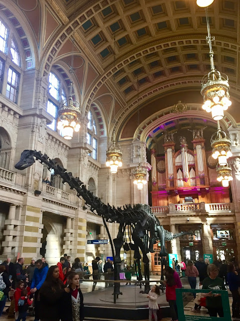 Dippy on Tour in the Kelvingrove Art Gallery & Museum, Glasgow, Scotland