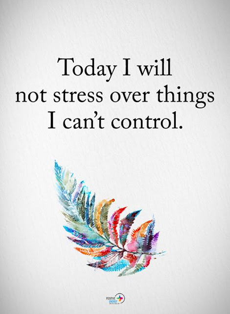 Today I will not stress over things I can't control quote