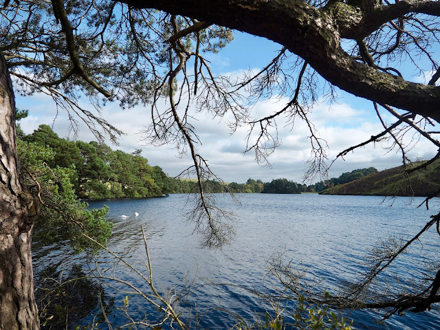 Glencorse Reservoir, Pentland Hills, Edinburgh, Scotland