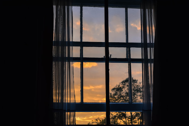 Sunrise through a window with tree silhouette