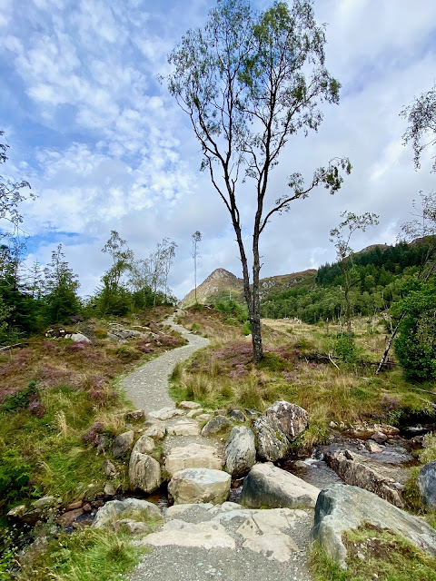 Hiking trail up Ben A'an, Trossachs National Park, Scotland