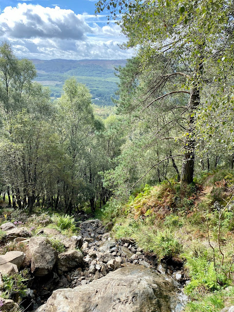 Hiking trail on Ben A'an, Trossachs National Park, Scotland