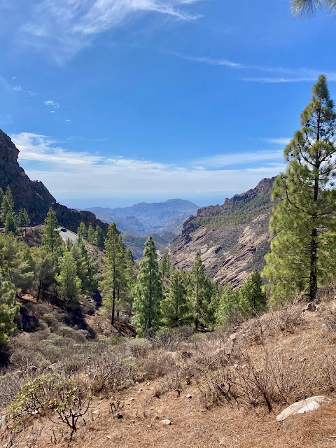 Mountain views with pine trees, on the hiking trail to Roque Nublo, Gran Canaria, Spain