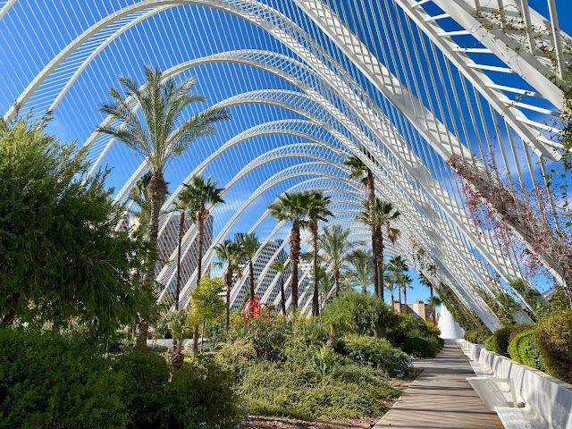 Palm trees inside the Umbracle walkway, City of Arts & Sciences, Valencia, Spain