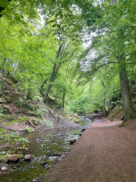 Path beside the Braid Burn, in the Hermitage of Braid woodland forest area, in Edinburgh, Scotland