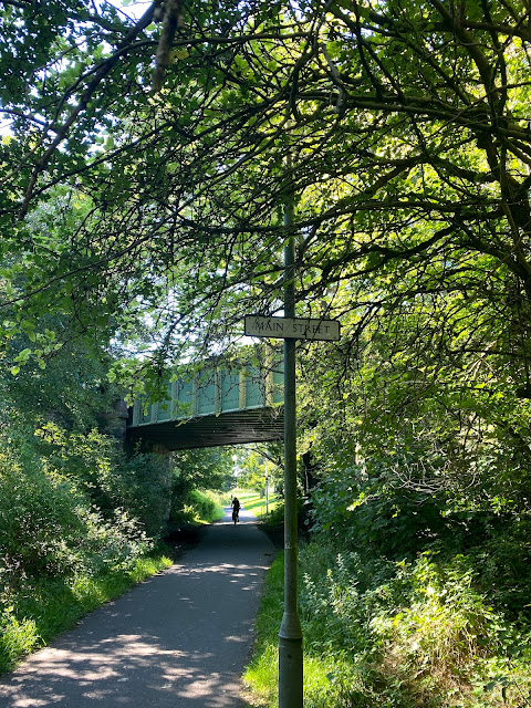 Shaded, forest pathway on one of Edinburgh's Cycle Network paths - Edinburgh, Scotland