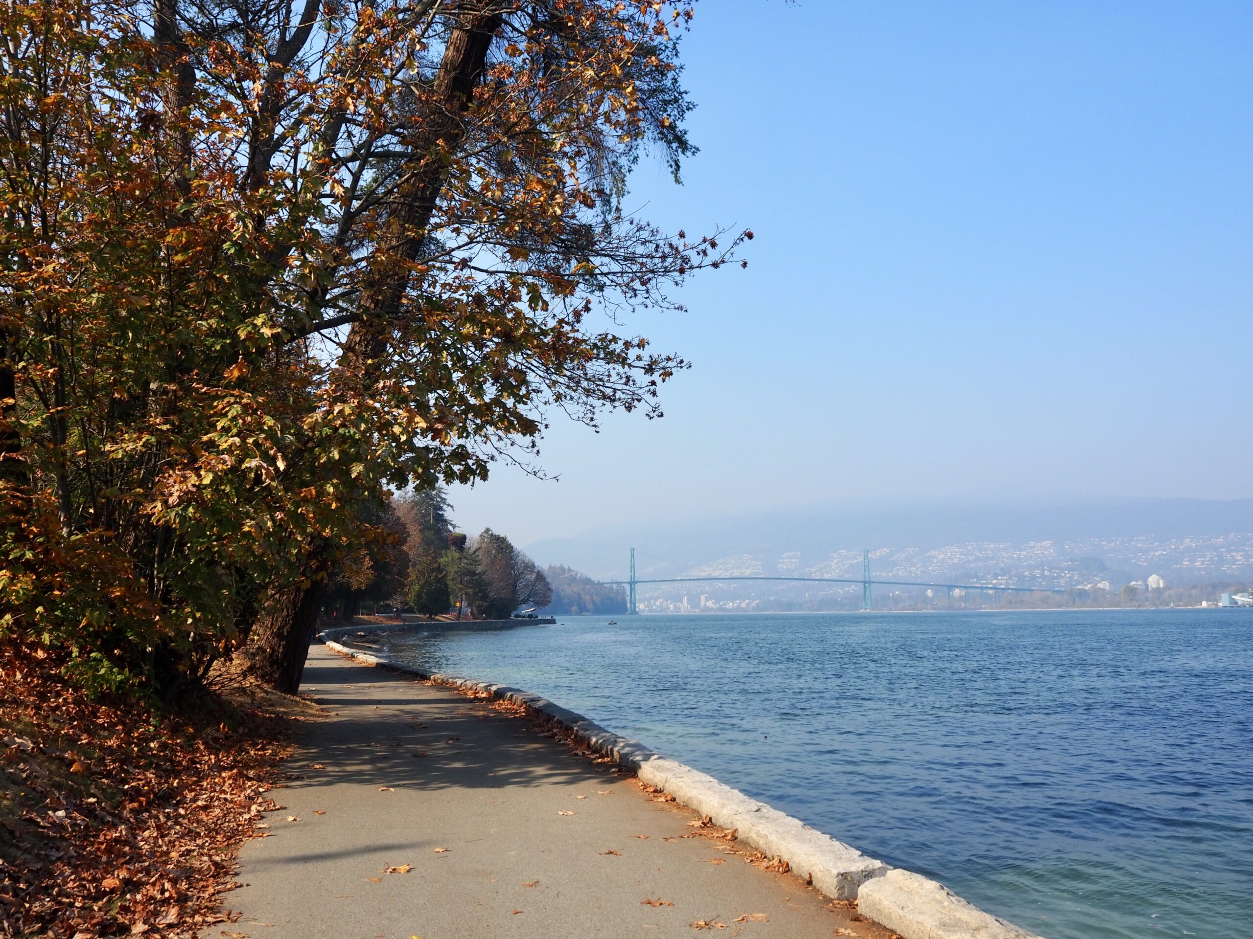 Vancouver Parks in Autumn featured photo