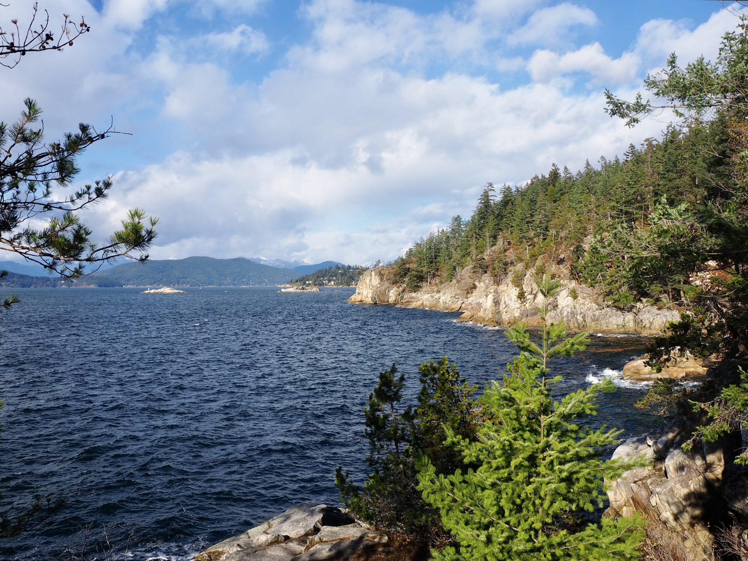 Lighthouse Park hike feature photo