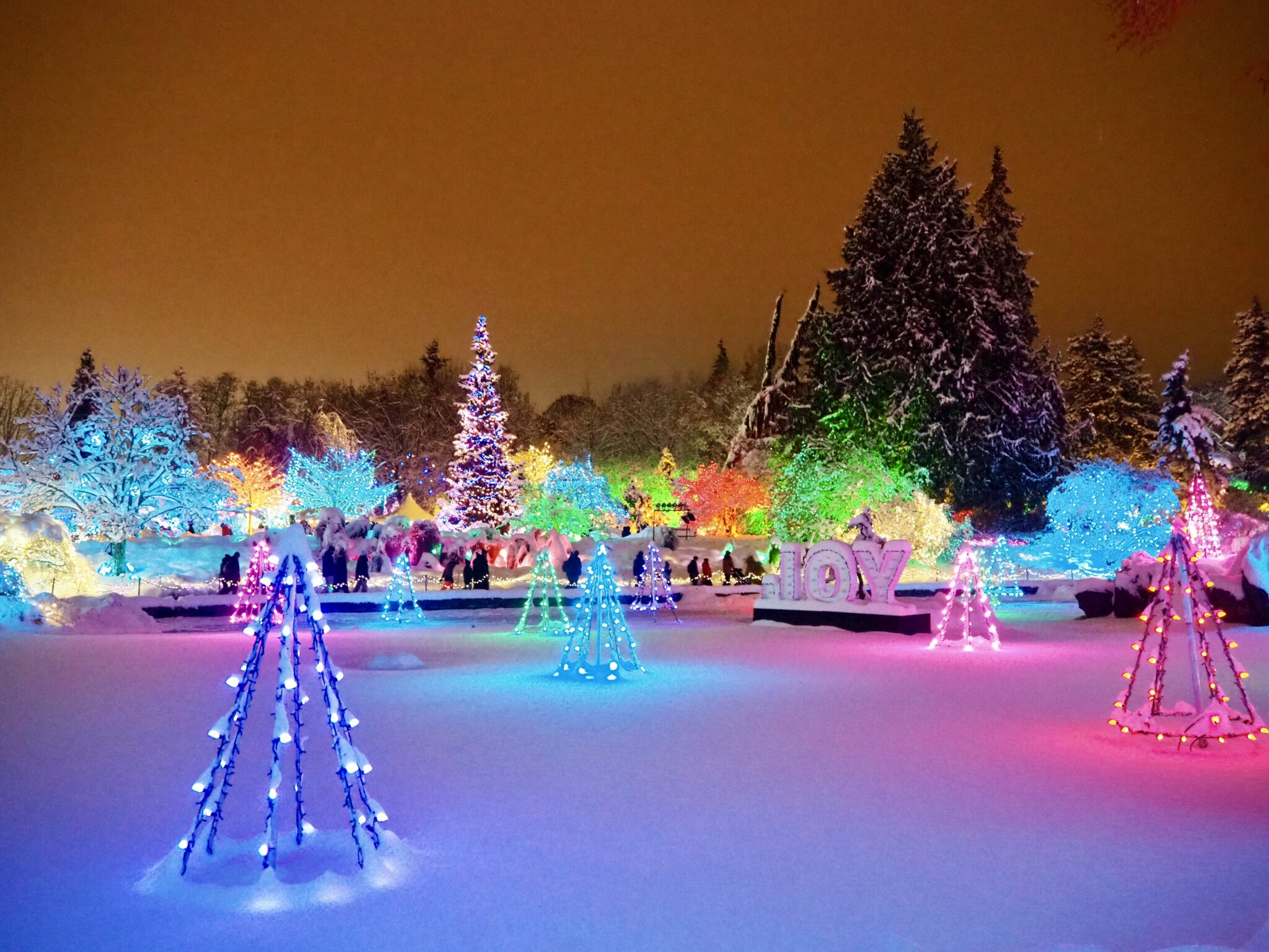 Christmas Events in Vancouver Just Muddling Through Life