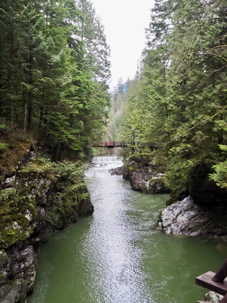 Capilano River Park hike