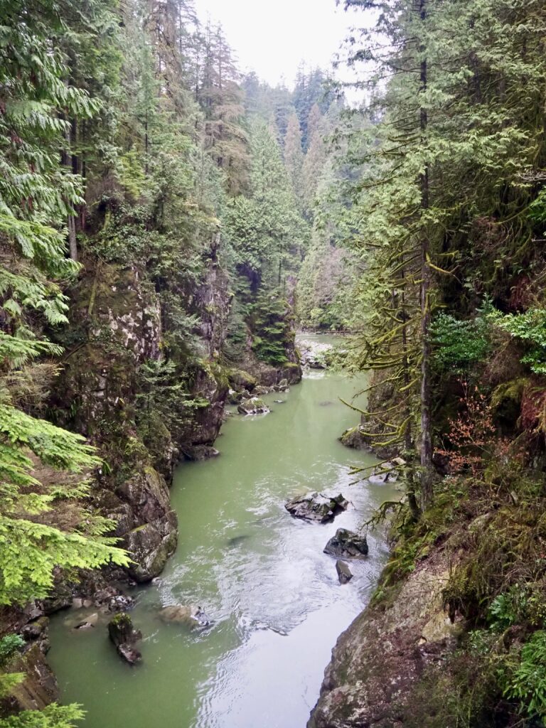 Capilano River Park hike featured photo - North Vancouver, BC, Canada