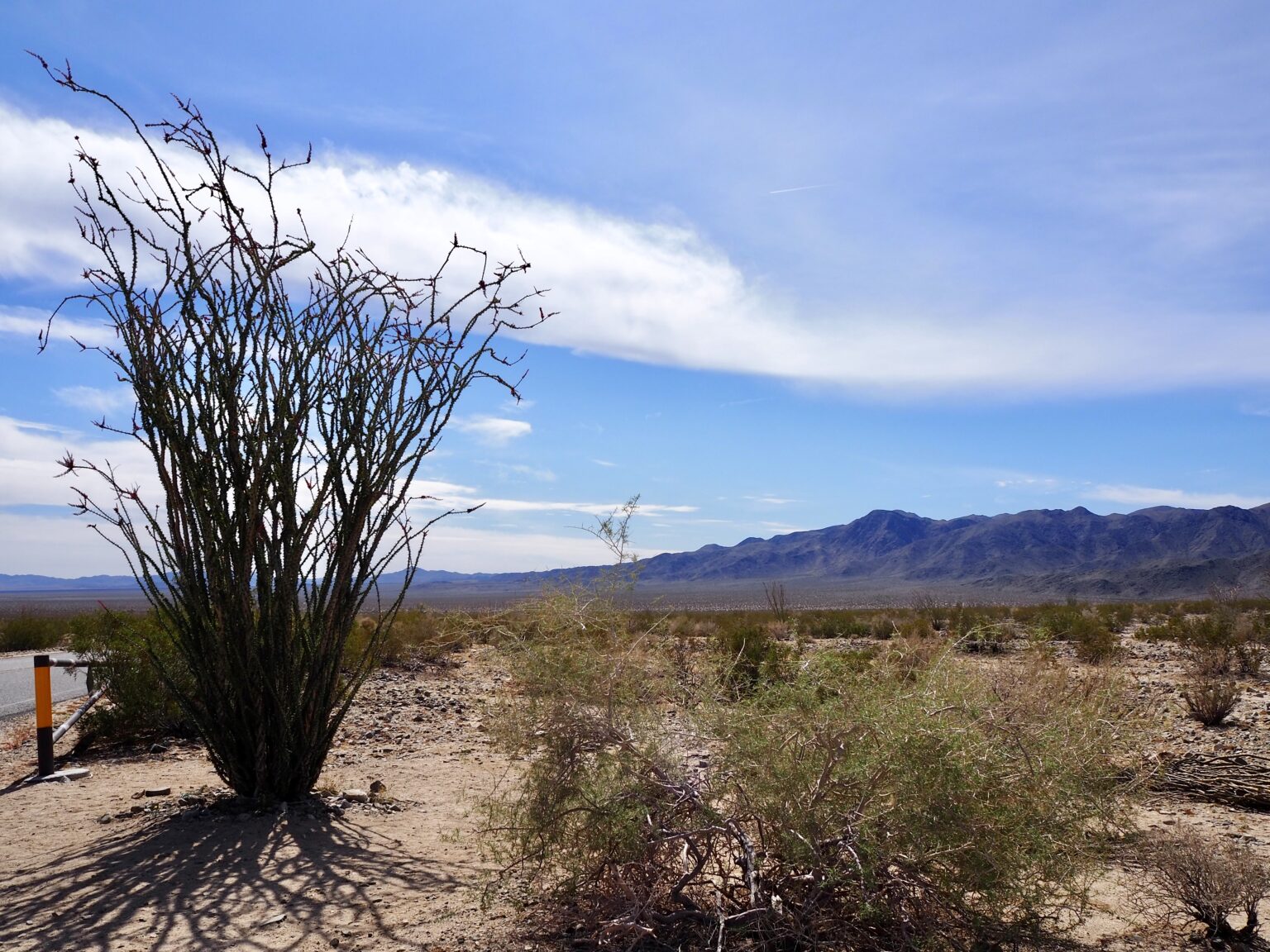 Weekend Trip to Joshua Tree | California | Just Muddling Through Life