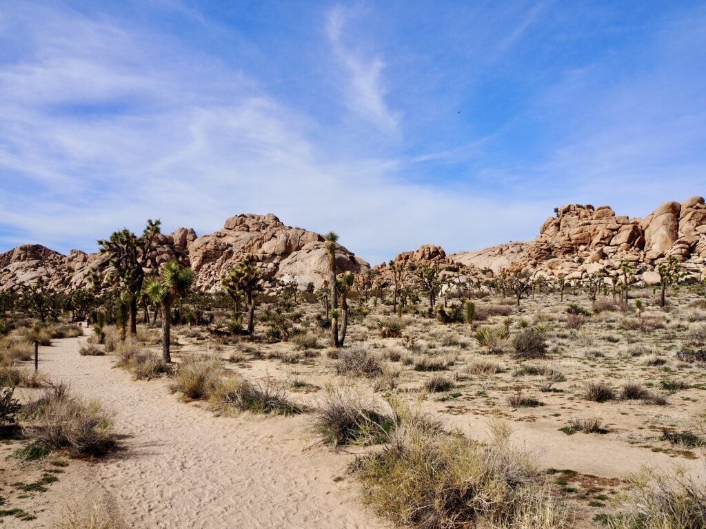 The end of a weekend trip to Joshua Tree National Park, California