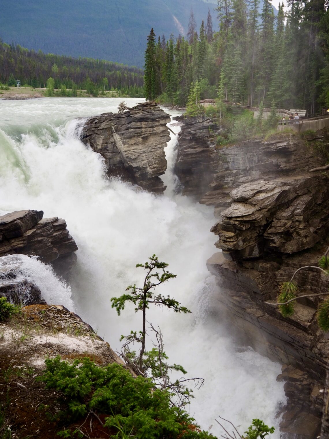 Banff National Park | Canadian Rockies | Just Muddling Through Life