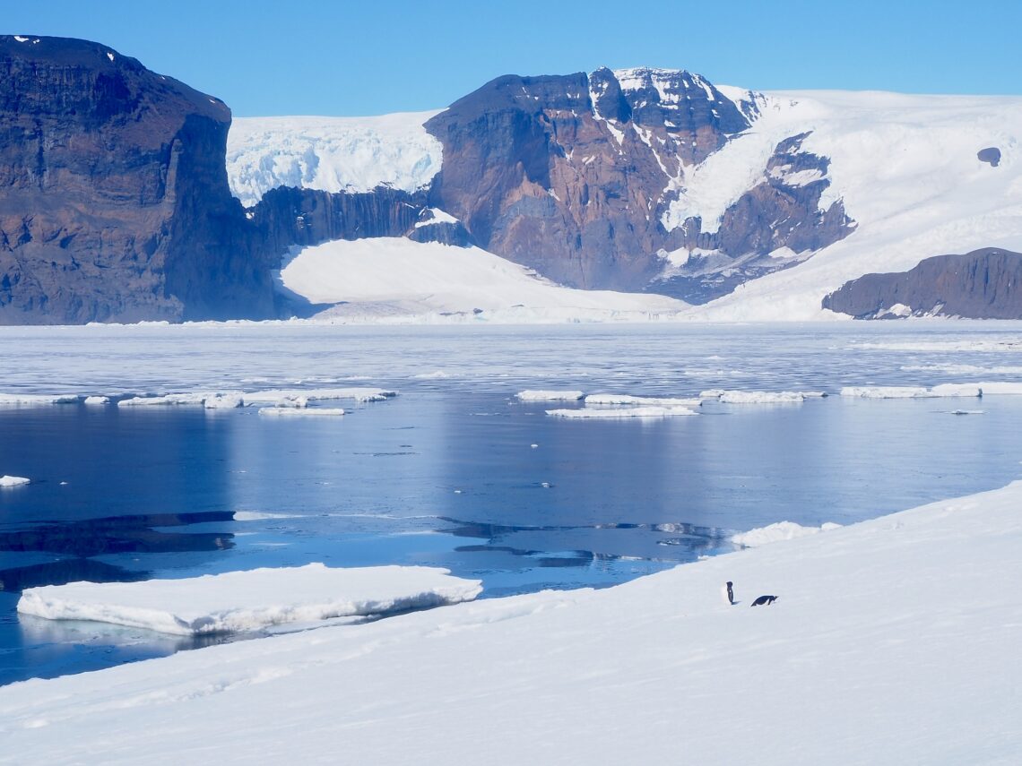Antarctica Expedition part 1 - feature photo - pair of Gentoo penguins in the snow with icy water next to them and snowy mountains in the background - Croft Bay on James Ross Island
